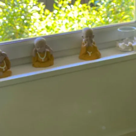 Le Loft Au-dessus Des Pins Lejlighed Lacanau