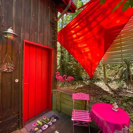 Lejlighed Le Loft Au-dessus Des Pins *
