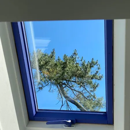 Le Loft Au-dessus Des Pins *