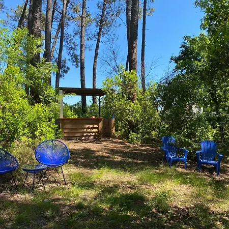 Le Loft Au-dessus Des Pins * Lacanau
