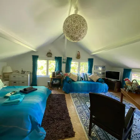 Le Loft Au-dessus Des Pins Apartment Lacanau