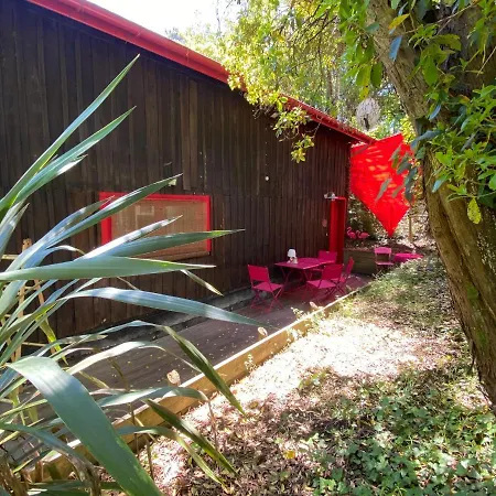 Le Loft Au-dessus Des Pins Apartment Lacanau
