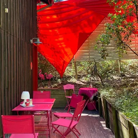 Le Loft Au-dessus Des Pins Apartment