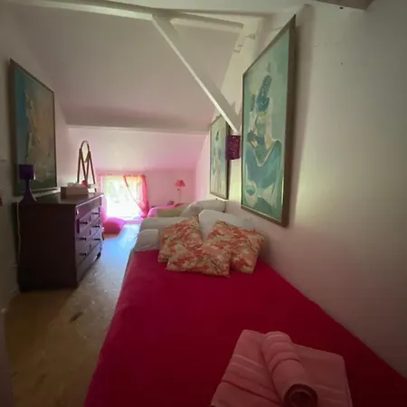 Apartment Le Loft Au-dessus Des Pins Lacanau