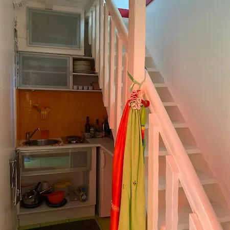 Le Loft Au-dessus Des Pins Apartment Lacanau