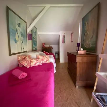 Le Loft Au-dessus Des Pins Apartment