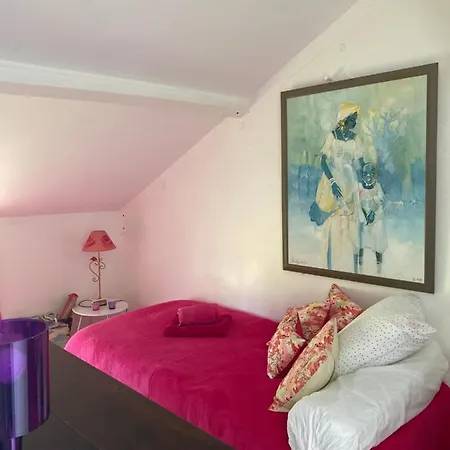 Le Loft Au-dessus Des Pins Lacanau