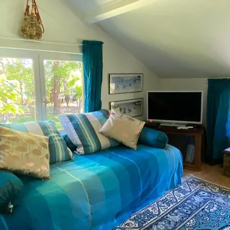 Le Loft Au-dessus Des Pins Apartment Lacanau